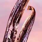 Lancome La Vie Est Belle Vanille Nude Edp 50 ml