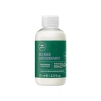 Paul Mitchell Lavender Mint Moisturizing Conditioner 75 ml