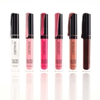 Catrice Gloss Obsessed Lip Glaze 040 2.5 ml