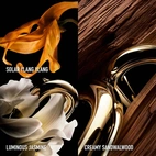 Rabanne Million Gold For Her Parfum Refill 200 ml