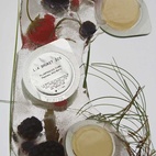 La Bruket 323 Plumping Ice Cube 10pcs