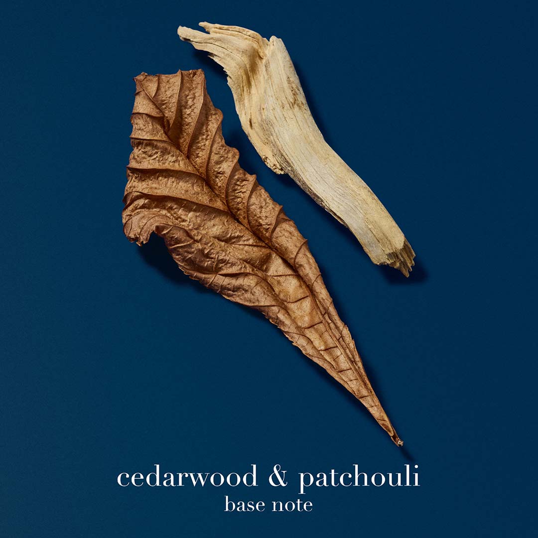 Armani Acqua Di Io Profondo Edp 200 ml