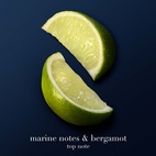 Armani Acqua Di Io Profondo Parfum 200 ml