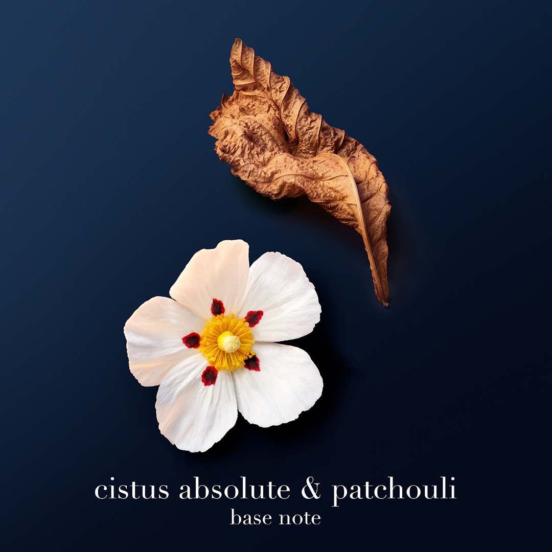 Armani Acqua Di Io Profondo Parfum 200 ml