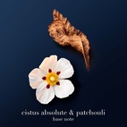 Armani Acqua Di Io Profondo Parfum 200 ml