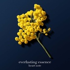 Armani Acqua Di Io Profondo Parfum 200 ml