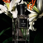 Yves Saint Laurent Le Vestiaire Des Parfums Capeline 125 ml