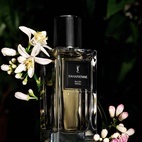 Yves Saint Laurent Le Vestiaire Des Parfums Saharienne 75 ml