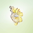 Prada Infusion De Gingembre EdP 100 ml