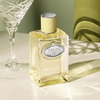 Prada Infusion De Gingembre EdP 100 ml