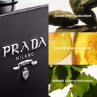 Prada L’Homme Prada Intense EdP 100 ml