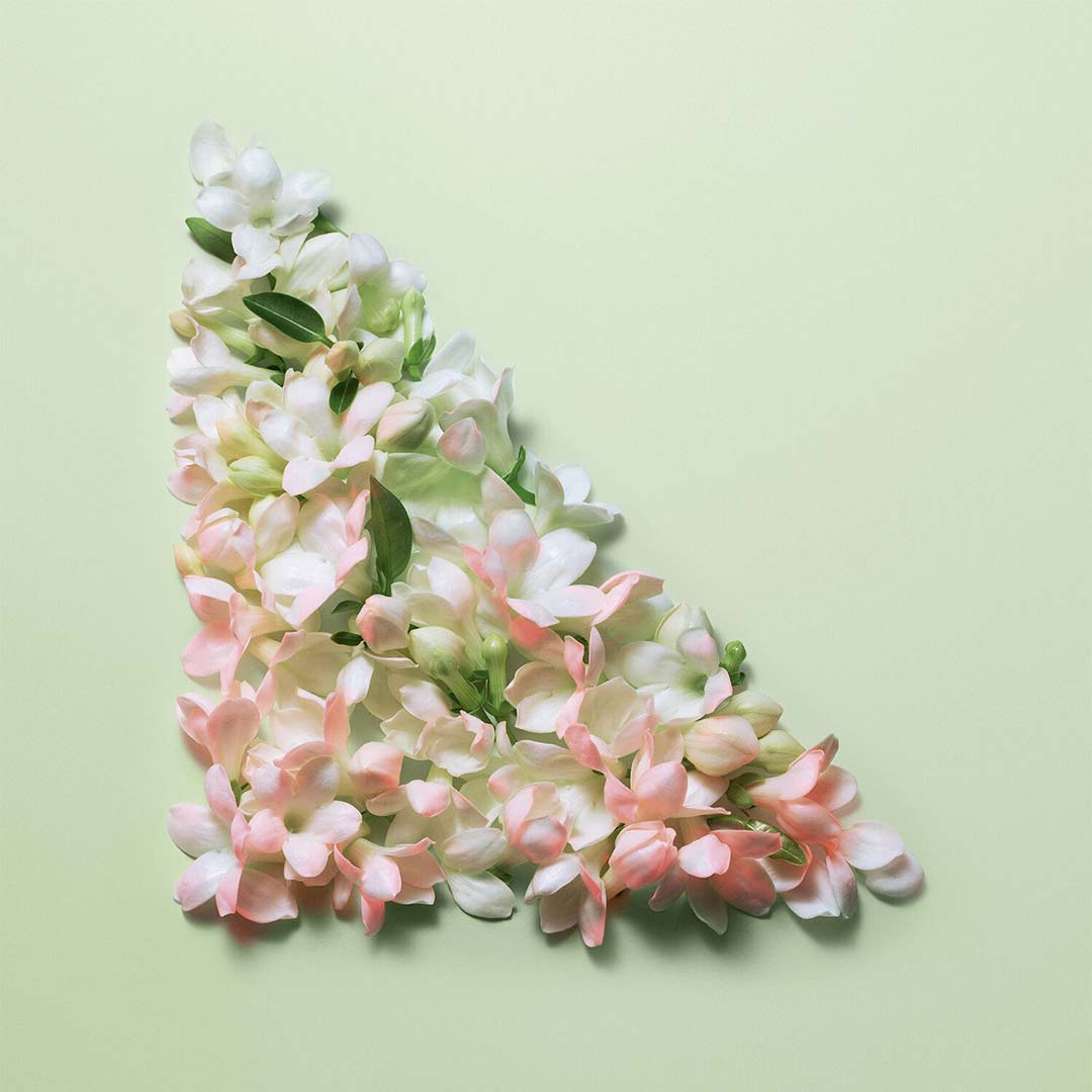 Prada Paradoxe Intense EdP Refill 100 ml