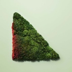 Prada Paradoxe Intense EdP Refill 100 ml