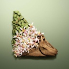 Prada Paradoxe Radical Essence Parfum Refill 100 ml