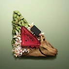 Prada Paradoxe Radical Essence Parfum 50 ml