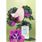 Prada Purple Rain EdP 100 ml