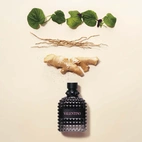 Valentino Uomo Born In Roma EdT 100 ml
