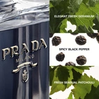 Prada LHomme Prada EdT 100 ml