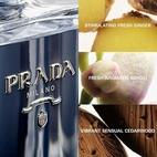 Prada L?Homme Prada L?Eau EdT 50 ml