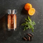 Karl Lagerfeld Bois D'Ambre EdT 50 ml