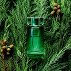 Karl Lagerfeld Bois De Cypres EdT 50 ml