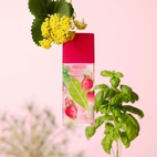 Elizabeth Arden Green Tea Strawberry Basil EdT 100 ml