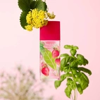 Elizabeth Arden Green Tea Strawberry Basil EdT 100 ml