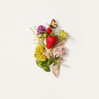 Elizabeth Arden Green Tea Strawberry Basil EdT 50 ml