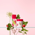 Elizabeth Arden Green Tea Strawberry Basil Honey Drops Body Cream 500 ml