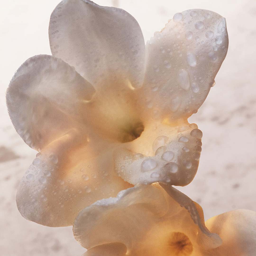 Rabanne Olympea Body Lotion 200 ml