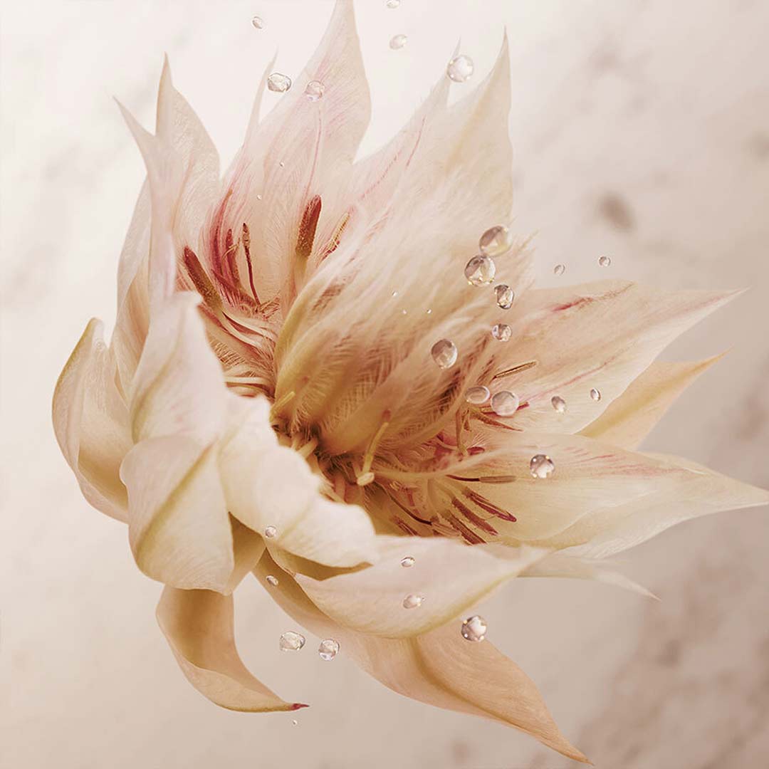 Rabanne Olympea Body Lotion 200 ml