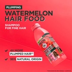Garnier Fructis Hair Food Watermelon Shampoo 350 ml