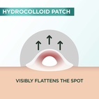 Garnier Pureactive Pimple Patch 22pcs