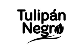 Tulipan Negro