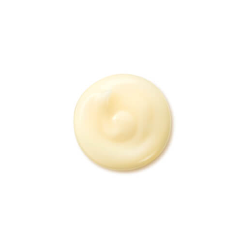 Shiseido Benefiance Neura Wrinkle Smoothing Cream 50 ml