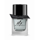 Burberry Mr. Burberry EdT 50 ml
